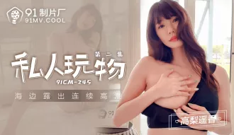 91CM-245 私人玩物第二集 海邊露出連續高潮