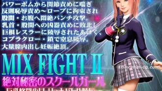 [3D]MIX FIGHT2絶対秘密のスクールガール 